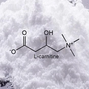 L-Carnitine with skeletal formula